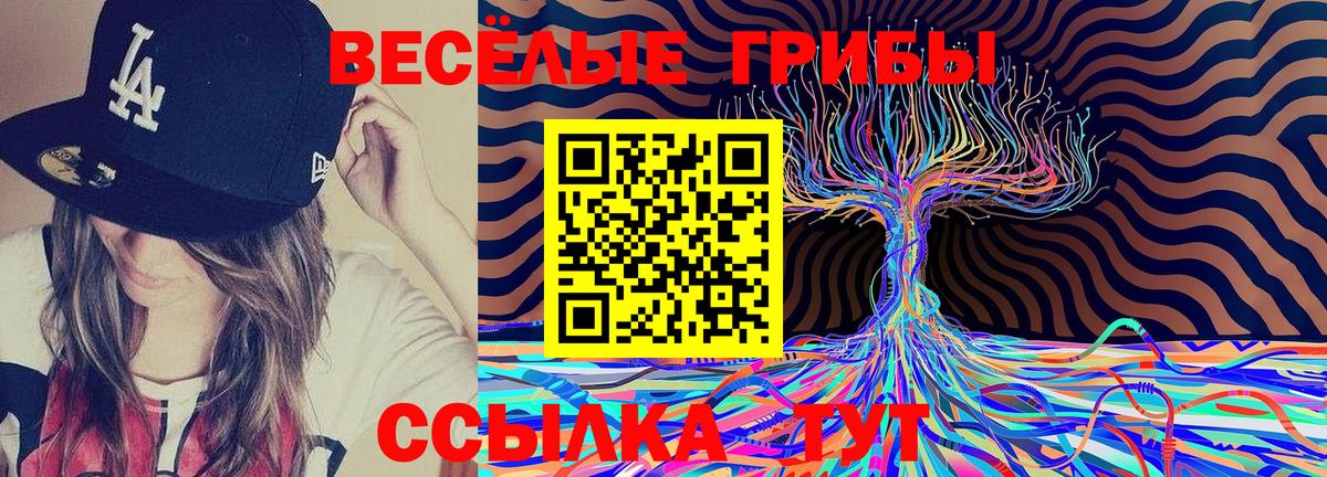 Псилоцибиновые грибы ЛСД  Вход с VPN  Галлюциногенные грибы ЛСД  Темрюк 